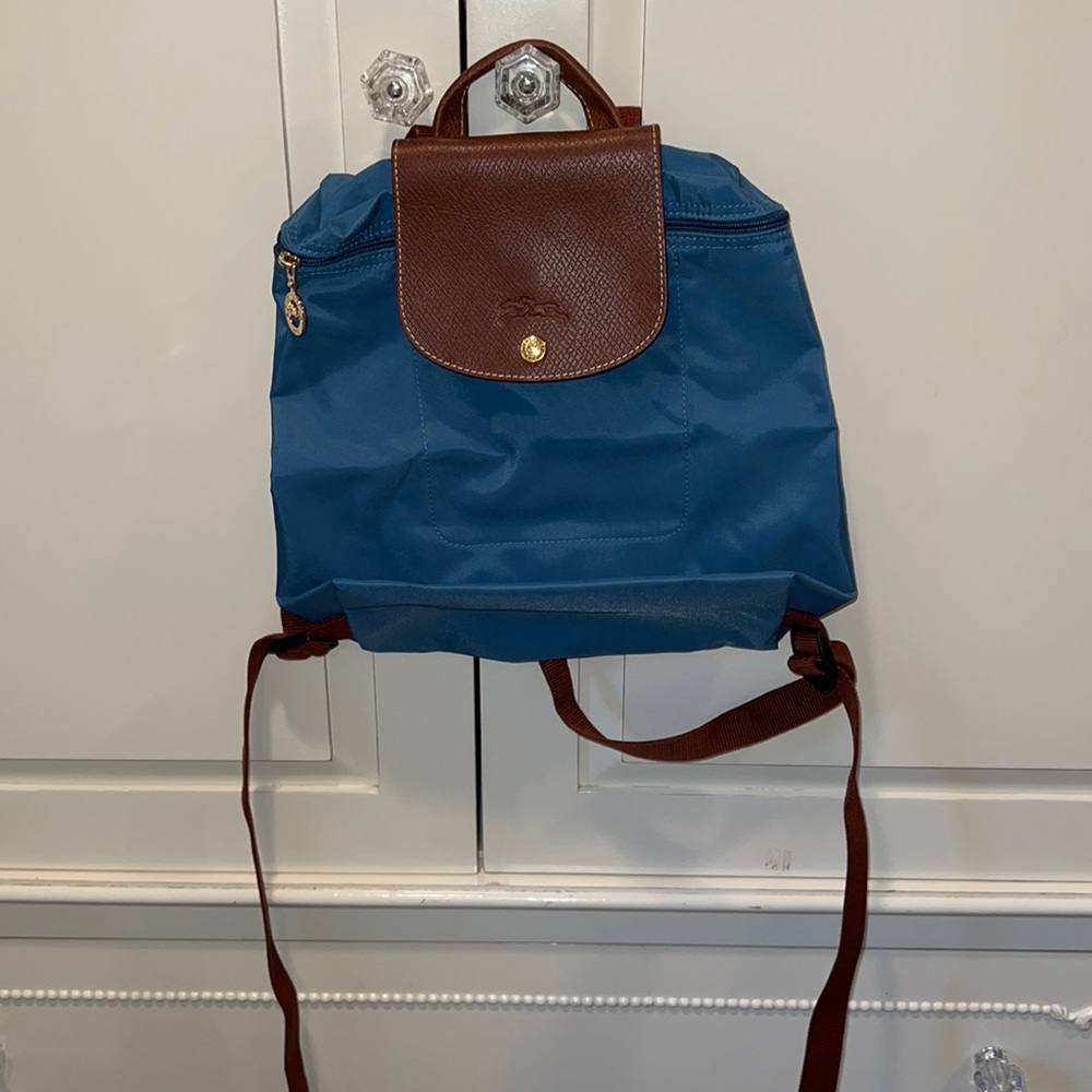 Long champ mini backpack